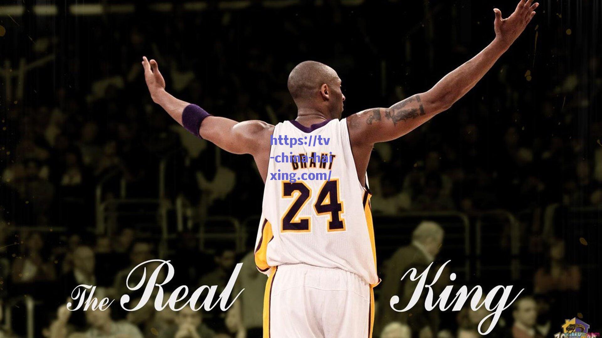 大连英博新援亮相，以速度重塑球队，誓言展现最佳竞技状态